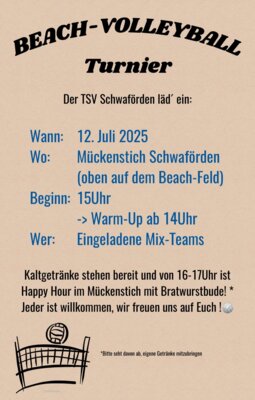 Flyer Beach-Volleyball