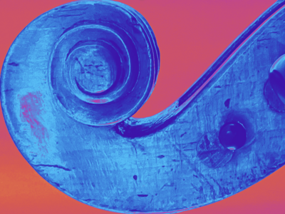 Cello-Schnecke (Foto: A. Rettich)