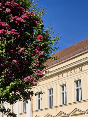 Veranstaltung: AKTIONSTAG & AUSSTELLUNGSERÖFFNUNG So 06. 07. 2025