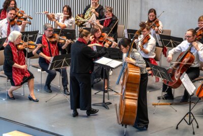 Das Parchimer Kammerorchester in Aktion. Foto: Steffen Struck