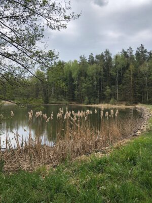 Zipfelteiche bei Ruttersdorf; Foto: Uwe Michel