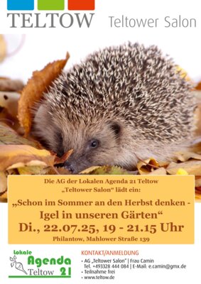 Plakat: Stadt Teltow (Bild vergrößern)