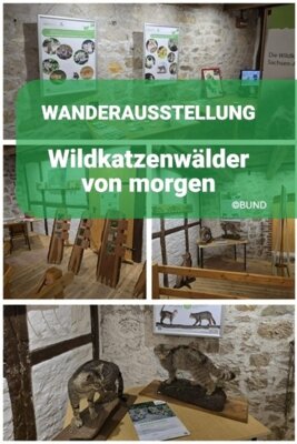 Collage mit Bildern der Wanderausstellung