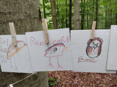 Bild aus dem Ferienprogramm Schatzkiste Natur | Foto Museum Schloß Burgk