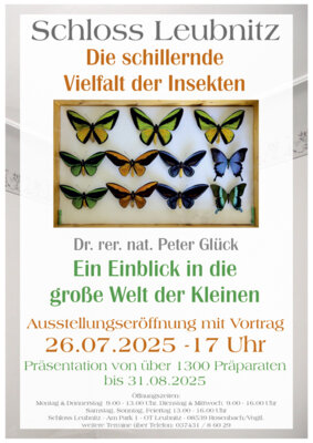 Foto zur Veranstaltung (Bild vergrößern)