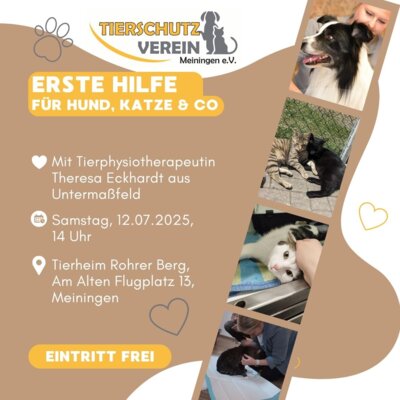 Foto zur Veranstaltung (Bild vergrößern)