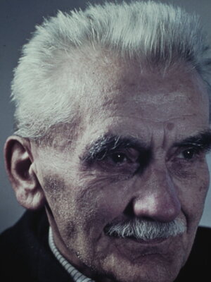 Armin Dreßler