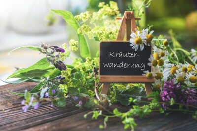 Veranstaltung: Sommerliche Auszeit: Julia Sahi MdL lädt zur Kräuterwanderung mit Picknick Mo 28.​07.​2025
