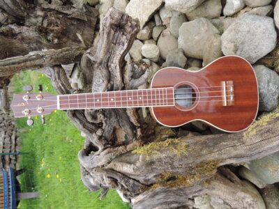 Ukulelespielen.... geht überall!
