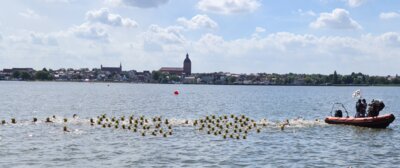 Boddenschwimmen