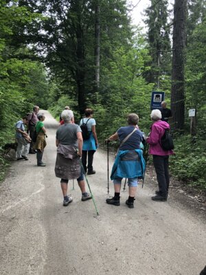 Foto zur Veranstaltung (Bild vergrößern)