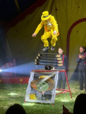 Cartoon-Cirkus Artist (Bild vergrößern)