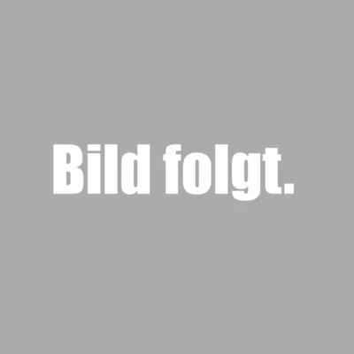 Foto zur Veranstaltung (Bild vergrößern)