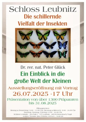 Foto zur Veranstaltung (Bild vergrößern)