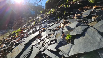 Dachschiefer (Bild vergr&ouml;&szlig;ern)
