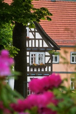 Blich auf das Heimatmuseum vom meister Eckhart Park