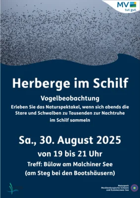 Foto zur Veranstaltung