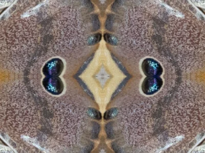 ©Regine Hakenbeck (Bild vergr&ouml;&szlig;ern)