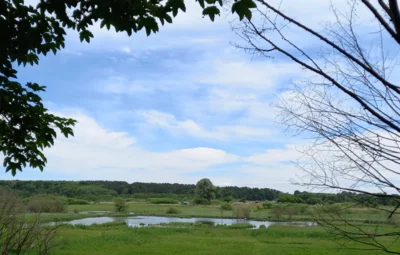 Blick in das Naturschutzgebiet Lange Dammwiesen und Unteres Annatal (Bild vergr&ouml;&szlig;ern)