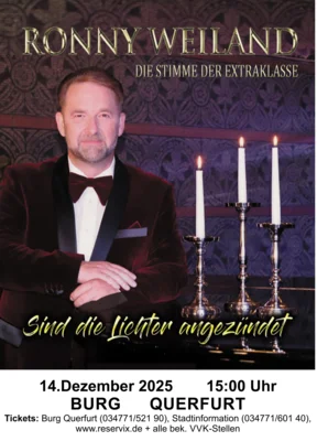 Plakat Konzert Ronny Weiland