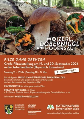 Foto zur Veranstaltung