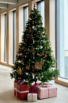 Veranstaltung: ADVENT IM MUSEUM: Weihnachtszauber in der Letterndruckwerkstatt &ndash; Handgedruckte Gru&szlig;karten Sa 20.​12.​2025