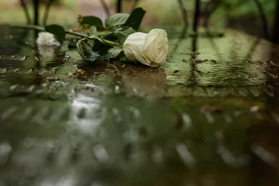 Foto: iStock/ GettyImages (Bild vergr&ouml;&szlig;ern)