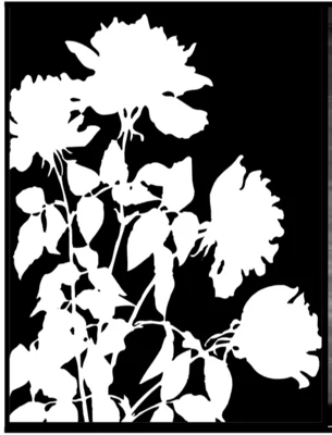 Foto zur Veranstaltung (Bild vergr&ouml;&szlig;ern)