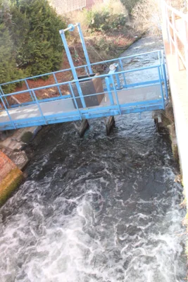 ..der Aalfang an der Mühle zu Plau
