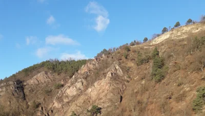 Ausschnitt Bohlenwand (Bild vergr&ouml;&szlig;ern)