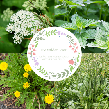 Foto zur Veranstaltung