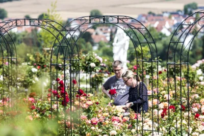 © BNST GmbH / Foto: Winfried Eberhardt (Bild vergr&ouml;&szlig;ern)