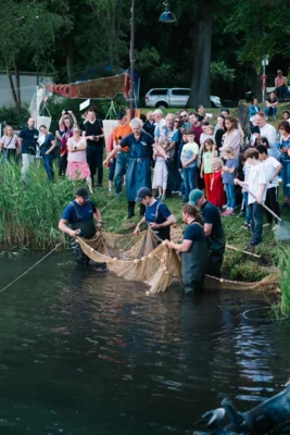 Traditionelle Fischfang-Demo, der Sacrower Fischzug, beim Tag der offenen Türen 2024 (Foto: P. Czapla, IfB) (Bild vergr&ouml;&szlig;ern)