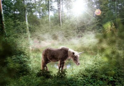 Veranstaltung: Ausstellung: AWO MEETS EINHORN So 18.​01.​2026
