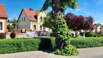 Friedensplatz auch 2025 geschmückt (Bild vergr&ouml;&szlig;ern)
