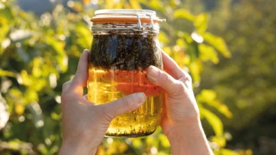 Kr&auml;uterwanderung Oxymel