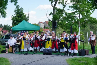 Livemusik an der Weinlaube