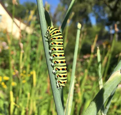 Foto zur Veranstaltung