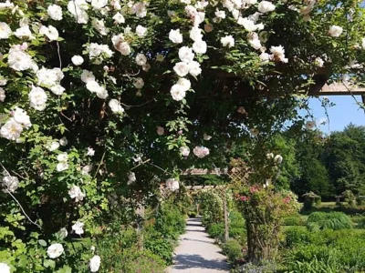 Foto zur Veranstaltung