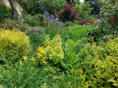 Foto zur Veranstaltung