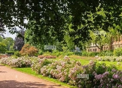 Foto zur Veranstaltung