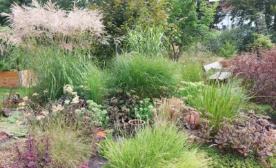 Foto zur Veranstaltung