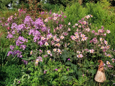 Foto zur Veranstaltung