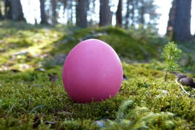 Osterei im Wald Foto: Anne Krauß (Bild vergr&ouml;&szlig;ern)