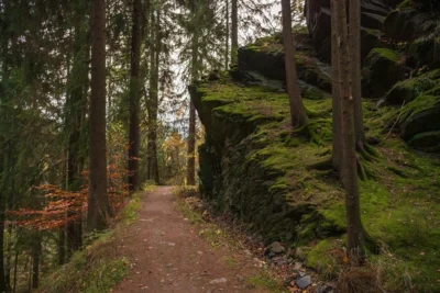 Floßgraben mitten durch den Wald Foto: Martin Strnad (Bild vergr&ouml;&szlig;ern)