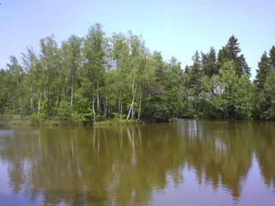 Ziegelteich (Bild vergr&ouml;&szlig;ern)