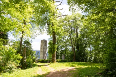 Foto zur Veranstaltung (Bild vergr&ouml;&szlig;ern)