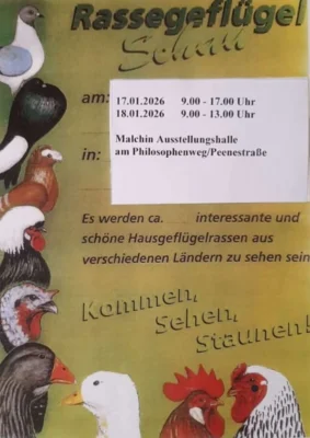 Foto zur Veranstaltung