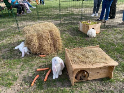 Foto zur Veranstaltung