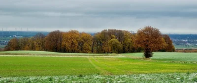 Veranstaltung: Von der Ohligser Heide ins Ittertal Mi 21.​10.​2026
